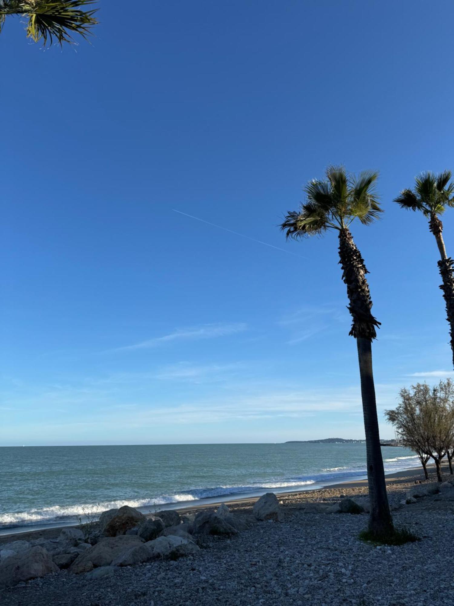 L'Appart Ideal Famille, Terrasse, Piscine, Plage Villeneuve-Loubet Bagian luar foto